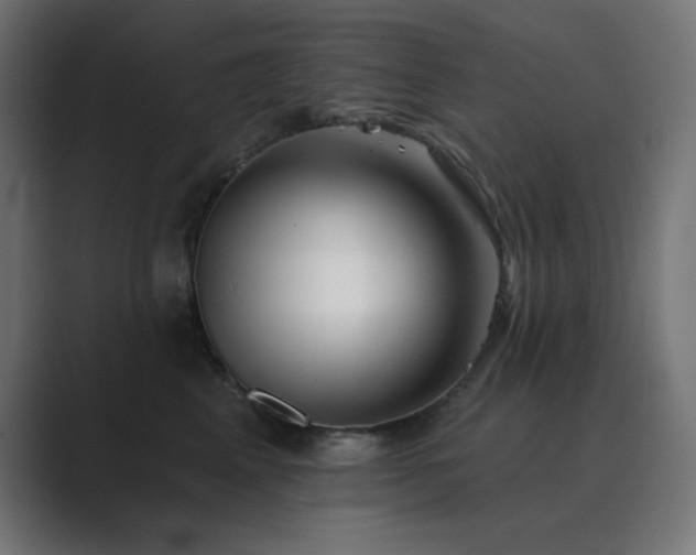 X0000089960617200706291230