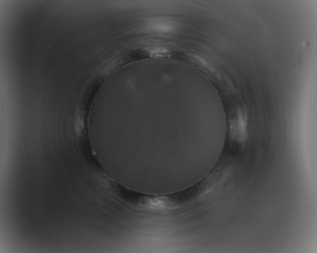 X0000089960618200706291230