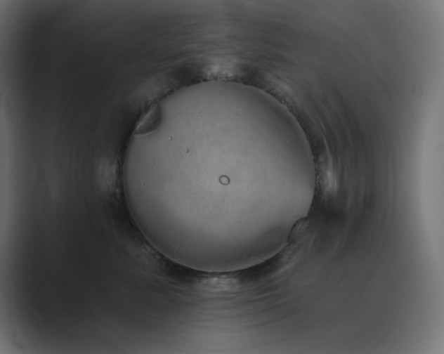 X0000089960619200706291230
