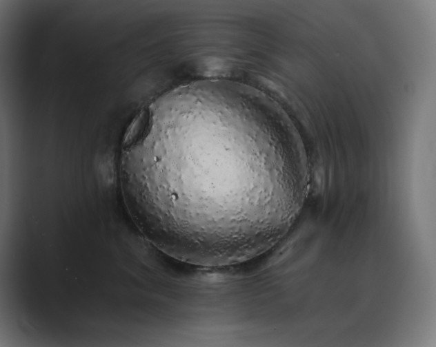 X0000089960620200706291230