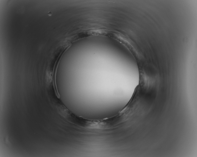X0000089960621200706291230