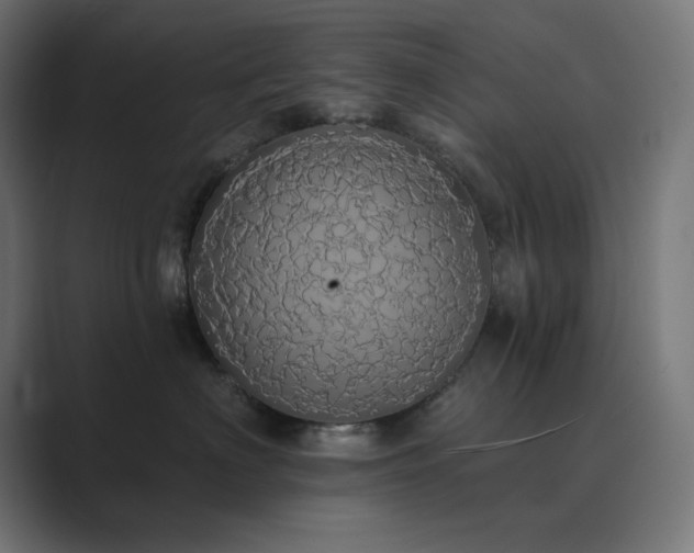 X0000089960622200706291230