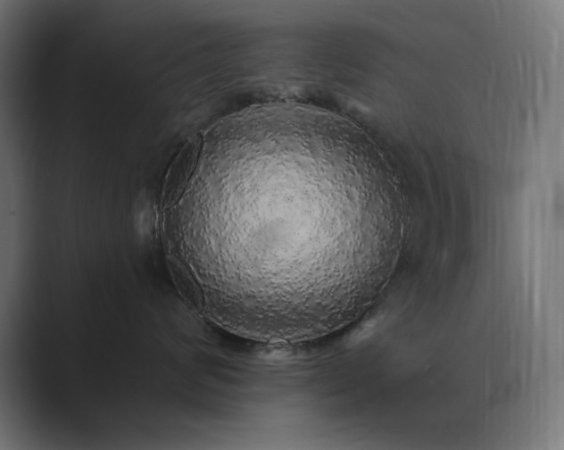X0000089960624200706291230