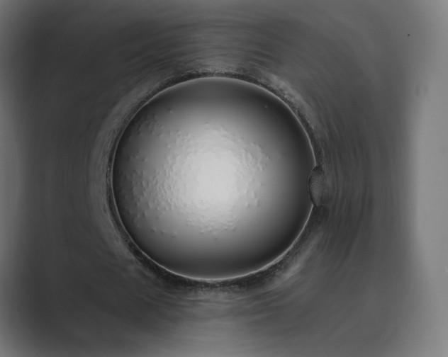 X0000089960625200706291230
