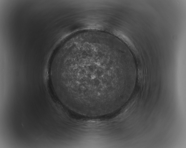 X0000089960628200706291230