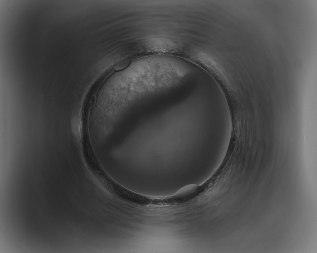 X0000089960630200706291230