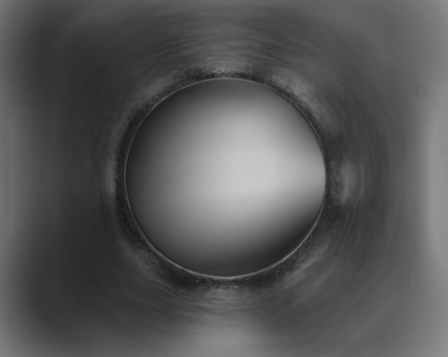 X0000089960631200706291230