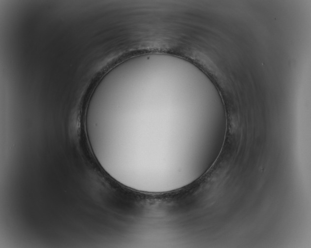 X0000089960632200706291230