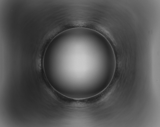 X0000089960633200706291230