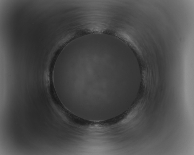 X0000089960634200706291230