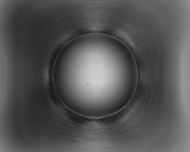 X0000089960635200706291230