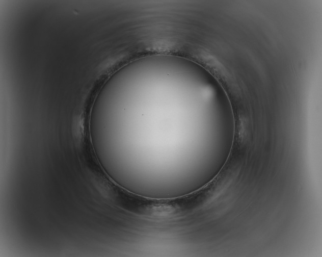 X0000089960636200706291230