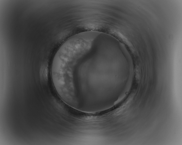 X0000089960637200706291230