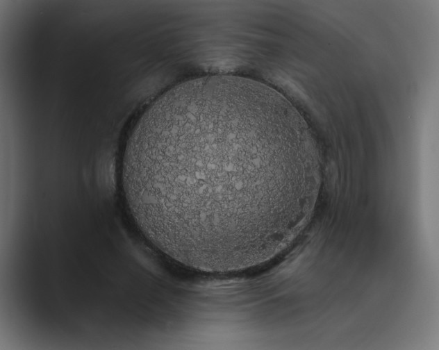 X0000089960638200706291230