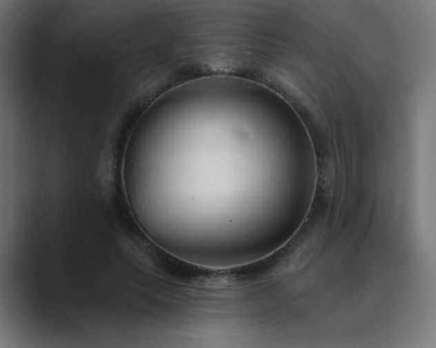 X0000089960639200706291230