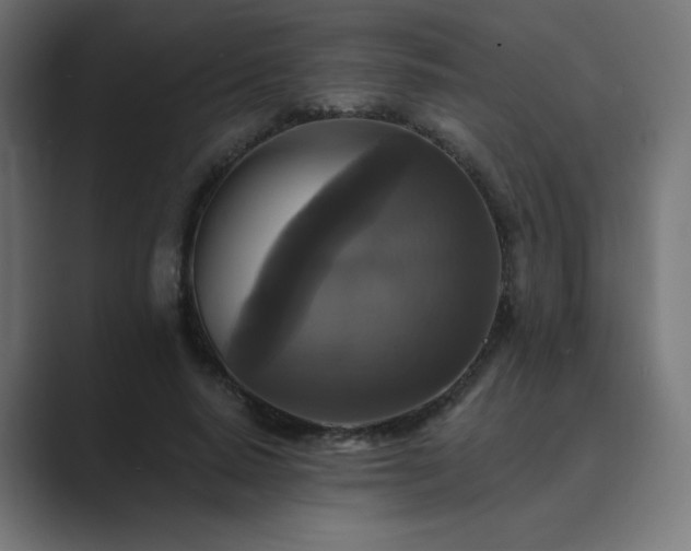X0000089960640200706291230