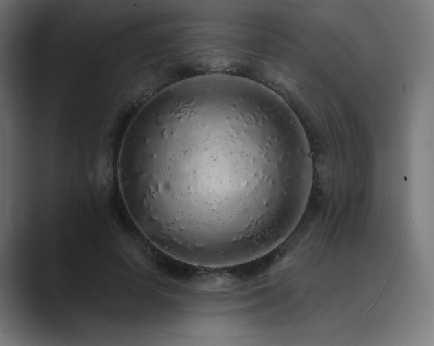 X0000089960642200706291230