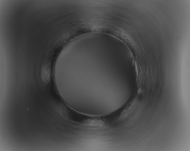 X0000089960644200706291230