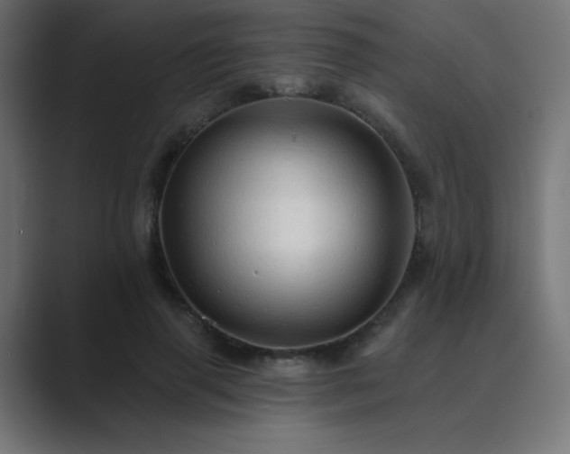 X0000089960645200706291230