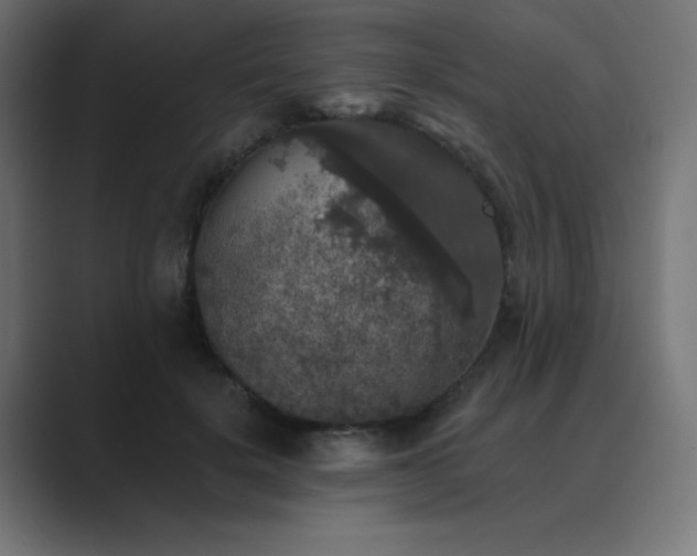 X0000089960652200706291230
