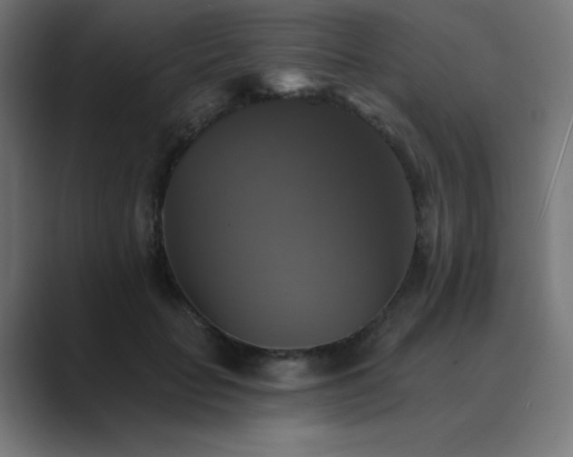 X0000089960653200706291230