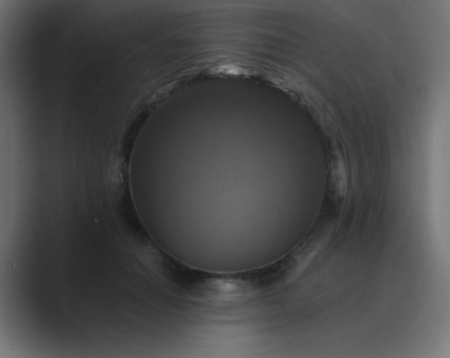 X0000089960654200706291230
