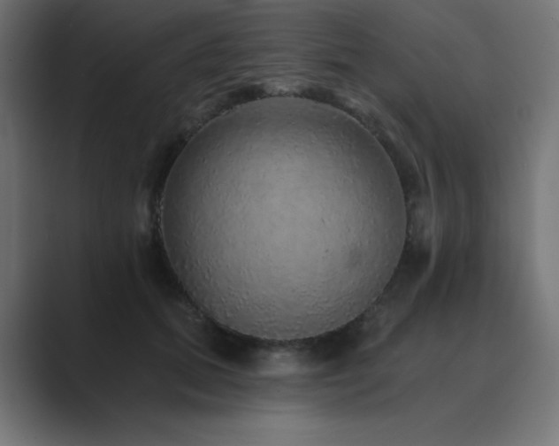 X0000089960655200706291230