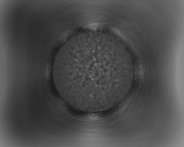 X0000089960656200706291230