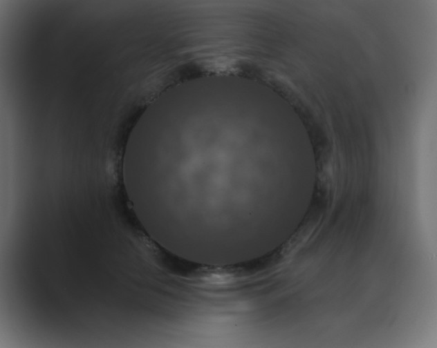 X0000089960658200706291230