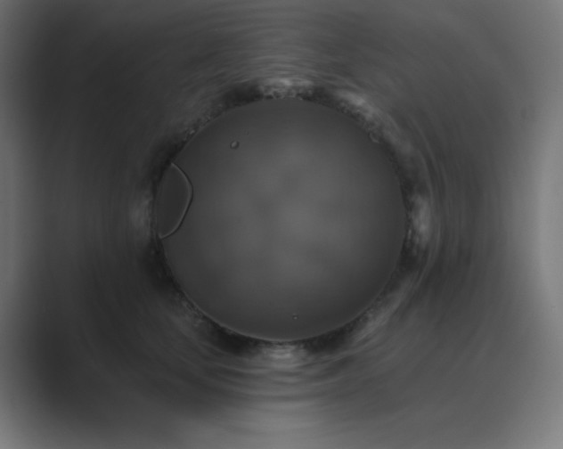 X0000089960659200706291230
