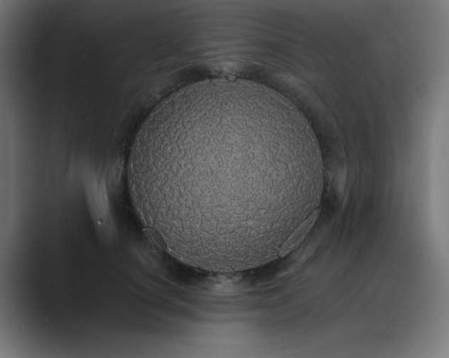 X0000089960660200706291230