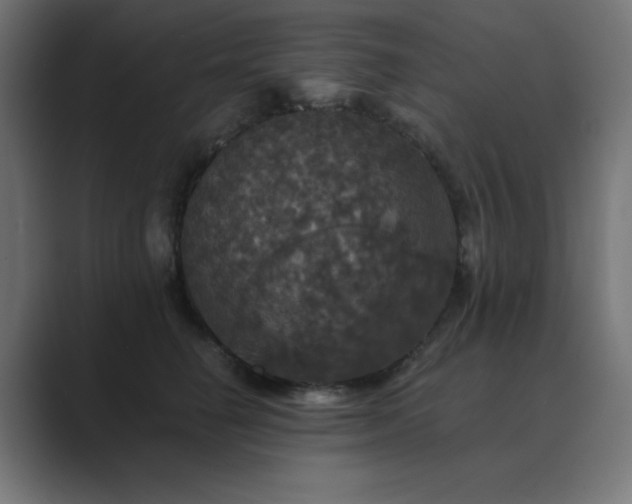 X0000089960662200706291230