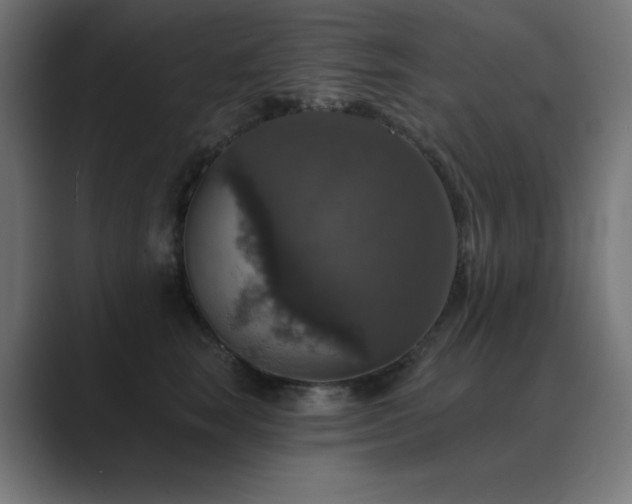 X0000089960663200706291230