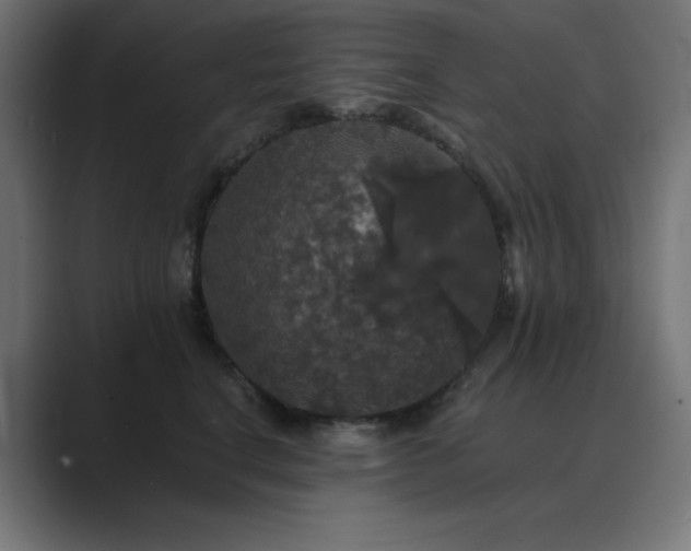 X0000089960664200706291230