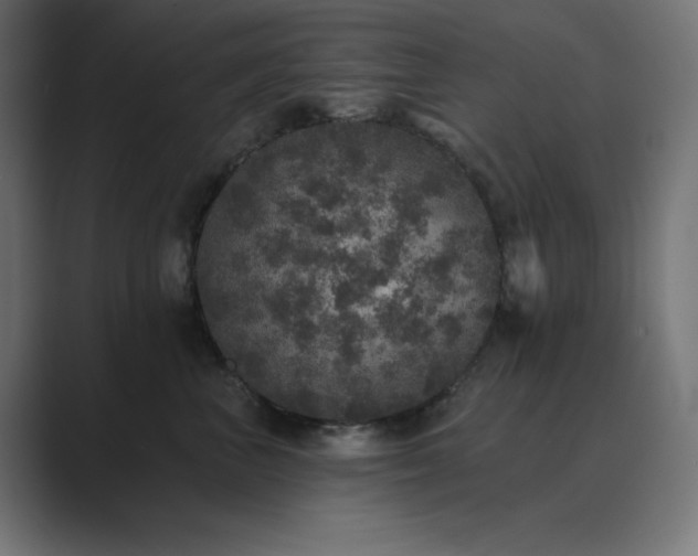 X0000089960667200706291230