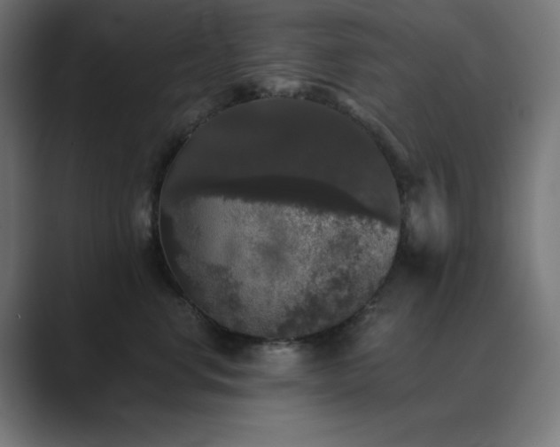 X0000089960668200706291230