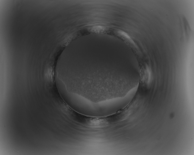 X0000089960669200706291230