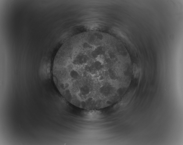X0000089960670200706291230
