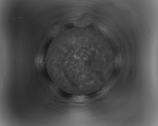 X0000089960671200706291230