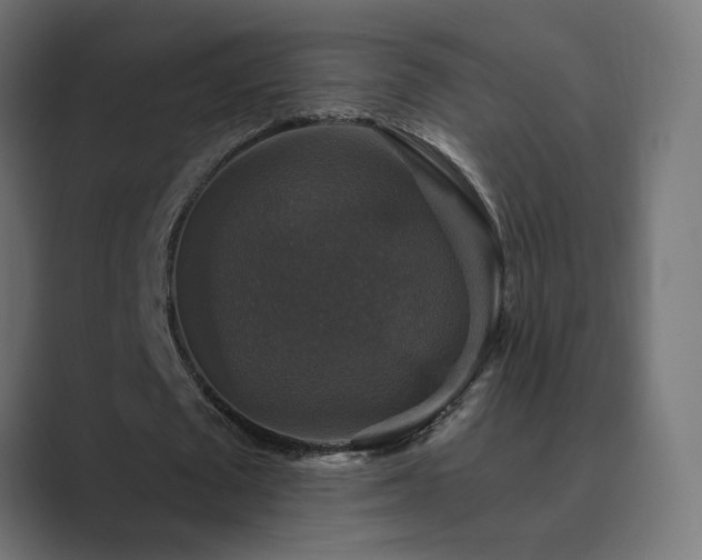 X0000089960673200706291230