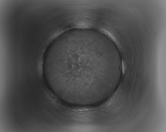 X0000089960675200706291230