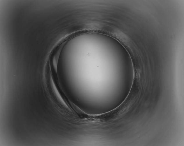 X0000089960676200706291230