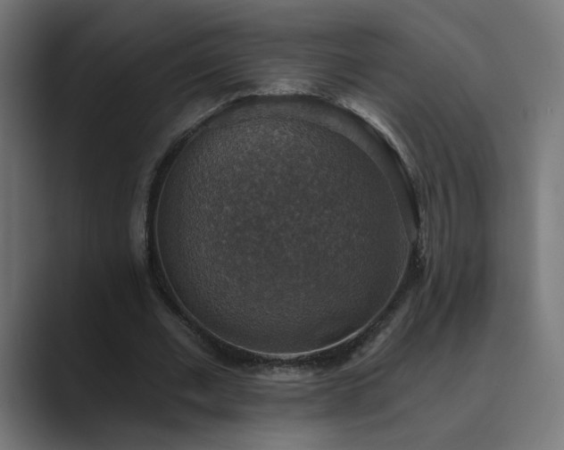 X0000089960677200706291230