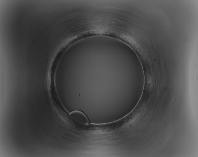 X0000089960678200706291230