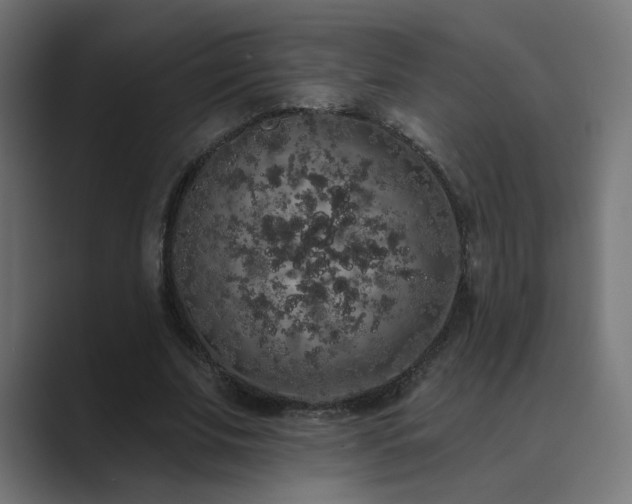 X0000089960679200706291230
