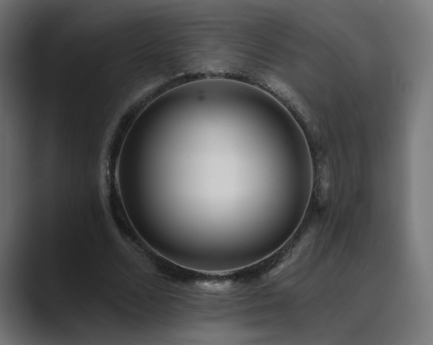X0000089960680200706291230