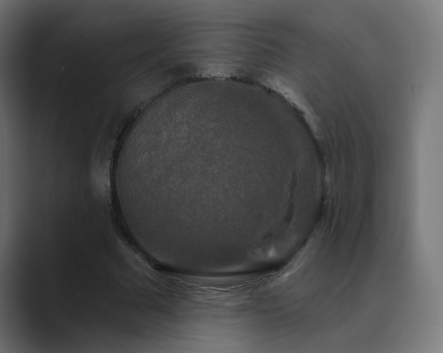 X0000089960681200706291230