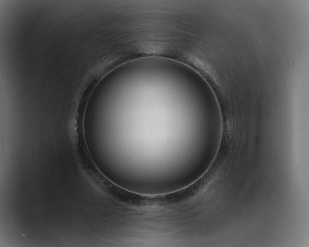 X0000089960682200706291230