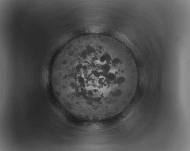X0000089960683200706291230