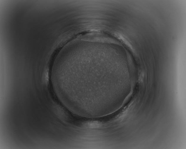 X0000089960685200706291230